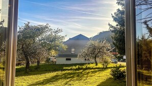 Vista attraverso una finestra su un prato con alberi e un edificio sullo sfondo.