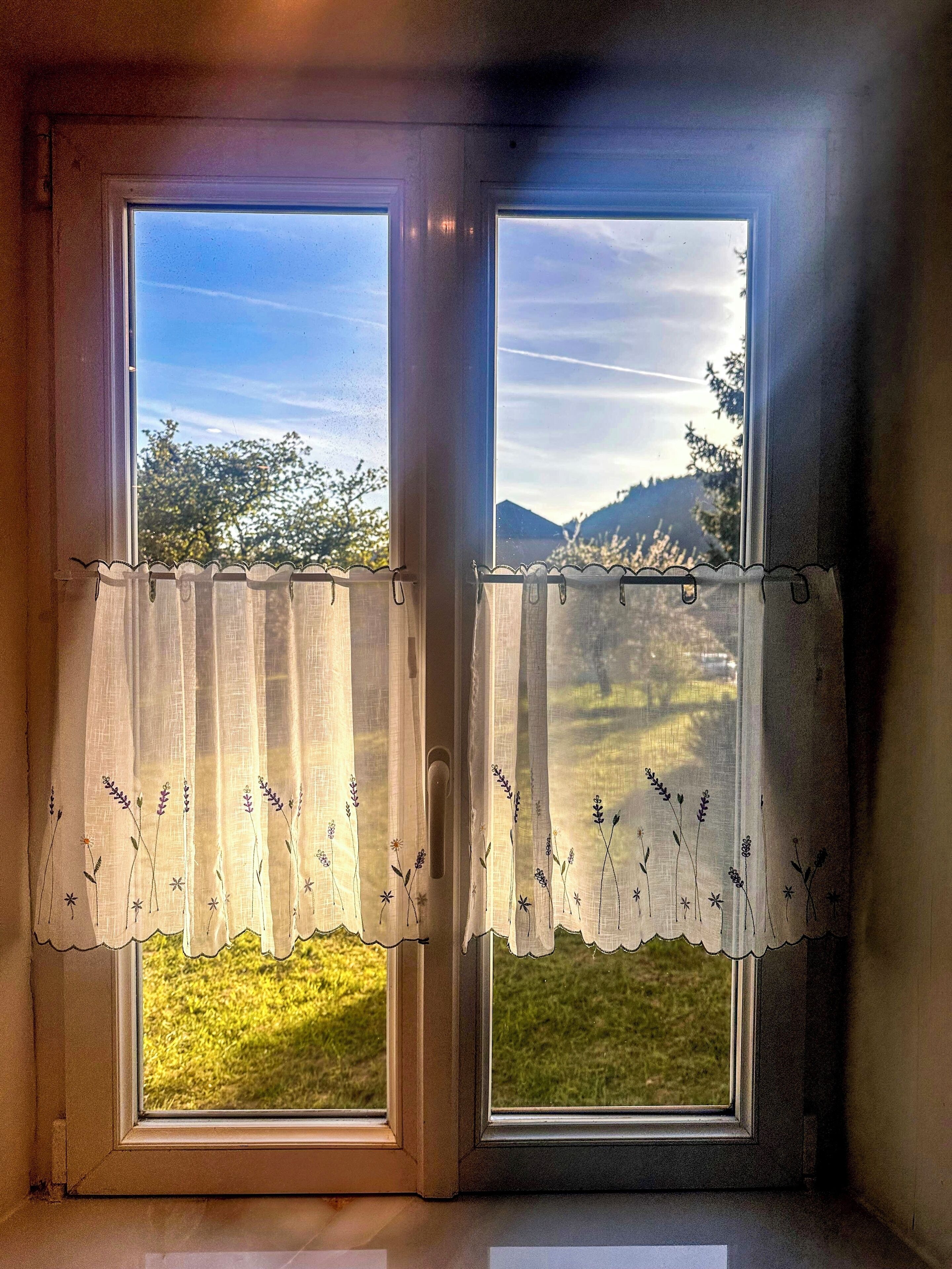 A window with a view of a grassy landscape and trees.