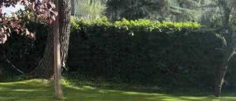 A grassy outdoor area with a tree and a hedge in the background.