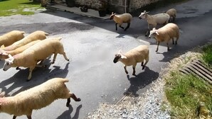 A stone building with multiple windows and a paved area. - Bed and Breakfast 'La Chambre JP À "Parenthèse"' with Mountain View, Shared Garden and Wi-Fi (Folles)