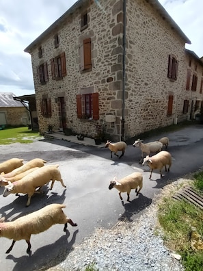 Enceinte de l’hébergement