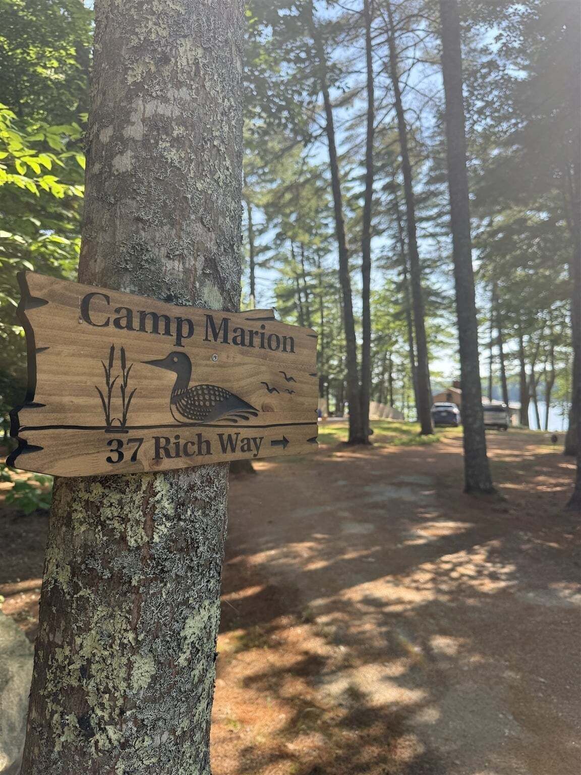 A wooden sign with 'Camp Marion' and '37 Rich Way' on a tree trunk.