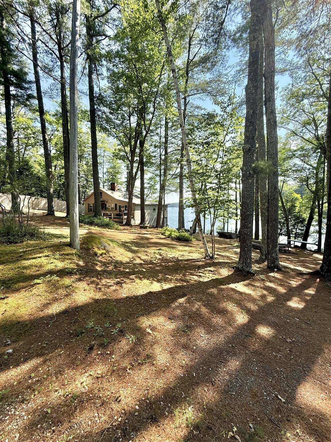 A cabin surrounded by tall trees and a lake.