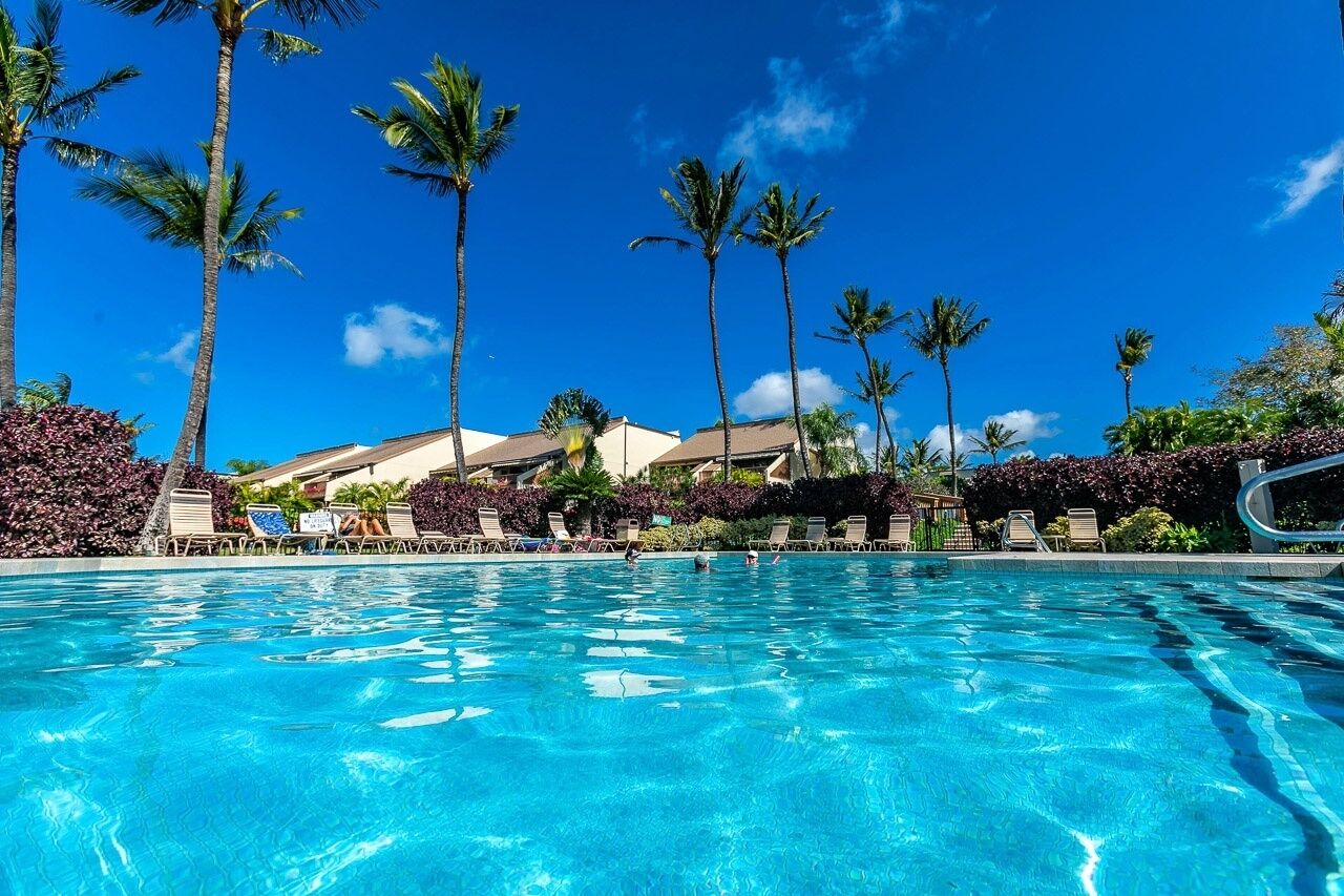 Apartment, 1 Bedroom | Pool