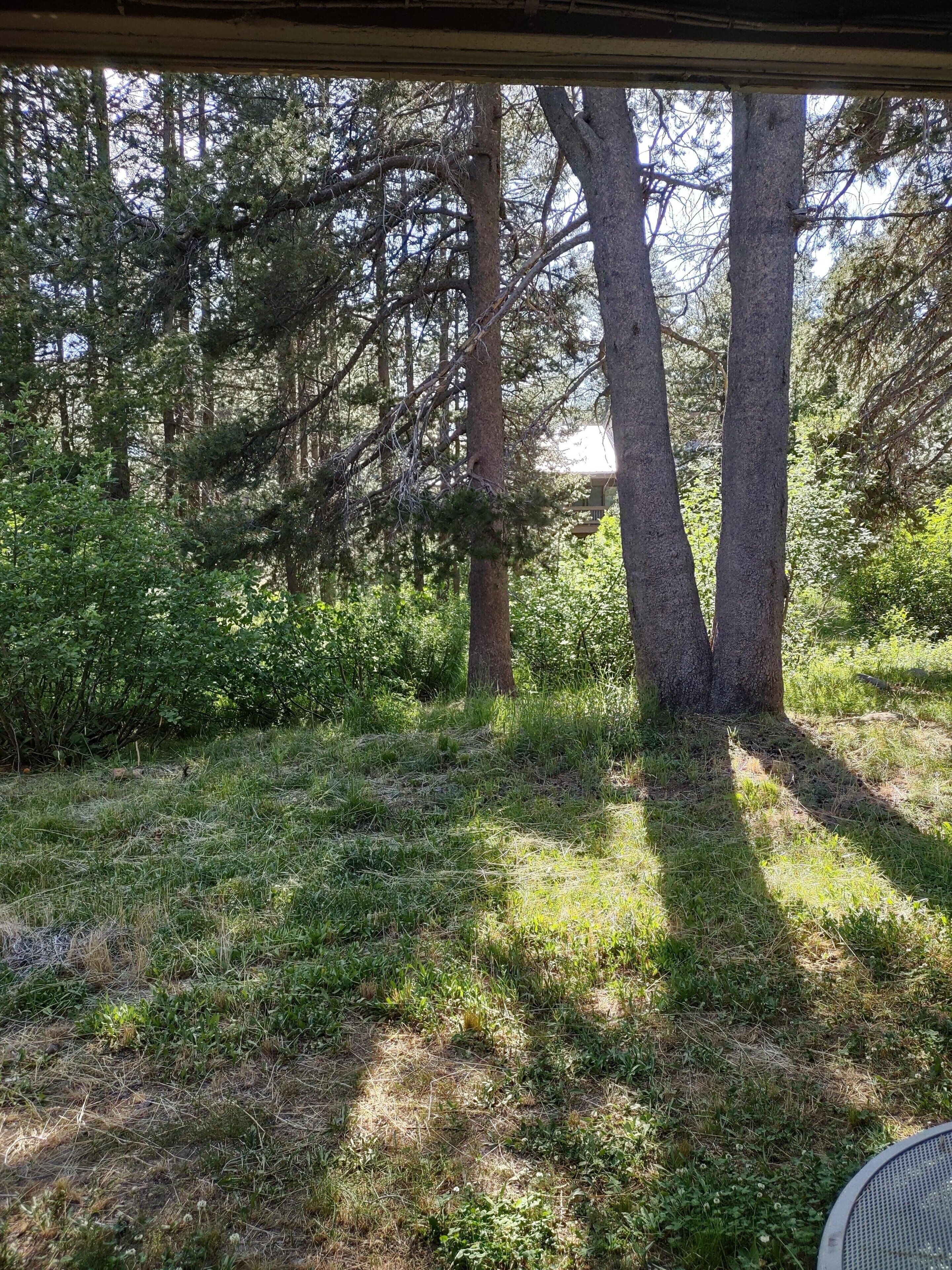 Condo, 1 Bedroom | Property grounds