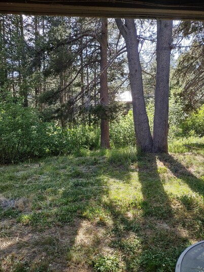 Pet-friendly Condo With Patio - Creekside 83 1 Bedroom Condo