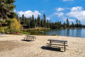 Ein sandiger Strand mit Picknicktischen und einem See, der von Bäumen umgeben ist.