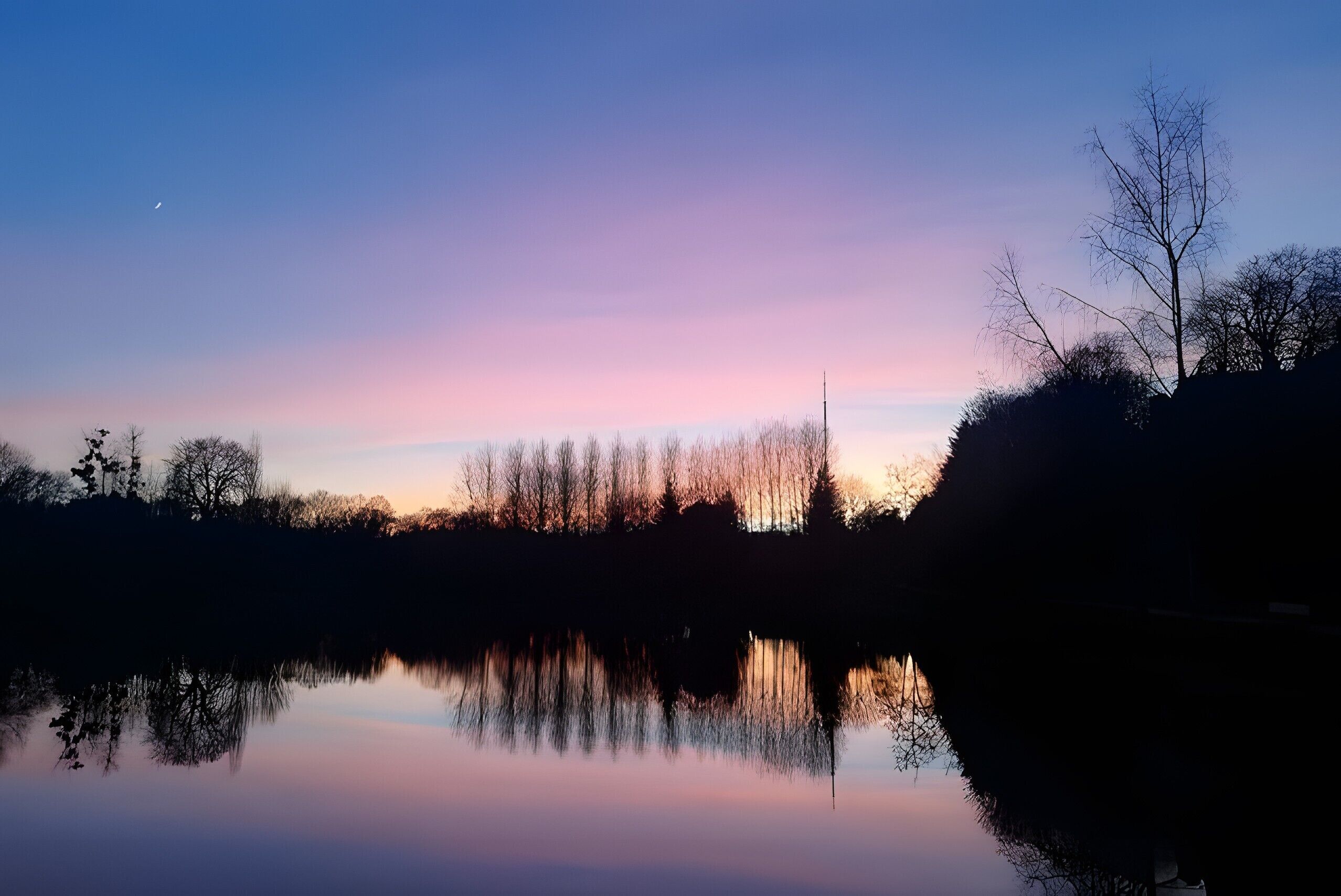 Un paysage paisible au bord d’un lac, avec un ciel dégagé et le reflet des arbres dans l’eau.