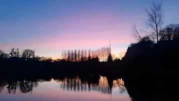 Un paysage paisible au bord d’un lac, avec un ciel dégagé et le reflet des arbres dans l’eau.