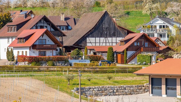 Uma vila rural com casas tradicionais de madeira e colmeia, um celeiro grande e um edifício moderno com varanda.