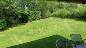 A well-maintained grassy backyard with a lawnmower, a metal chair, and dense foliage in the background.