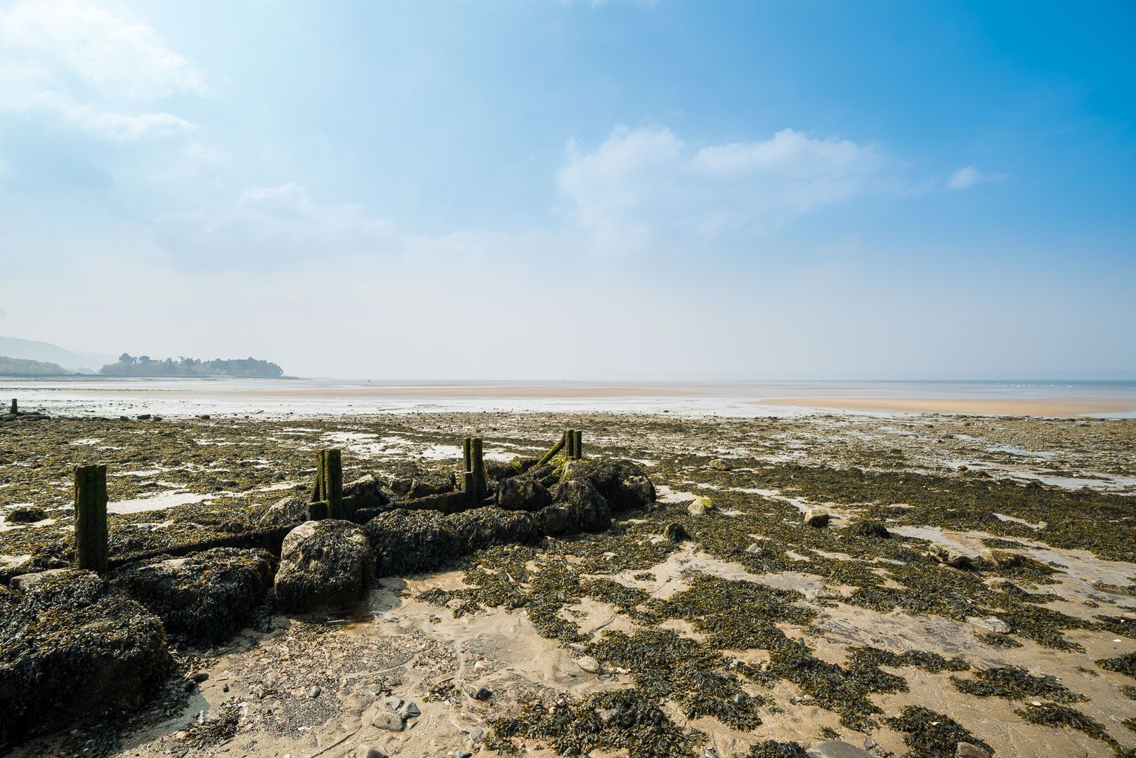 Una playa con rocas cubiertas de algas marinas y una valla de madera.