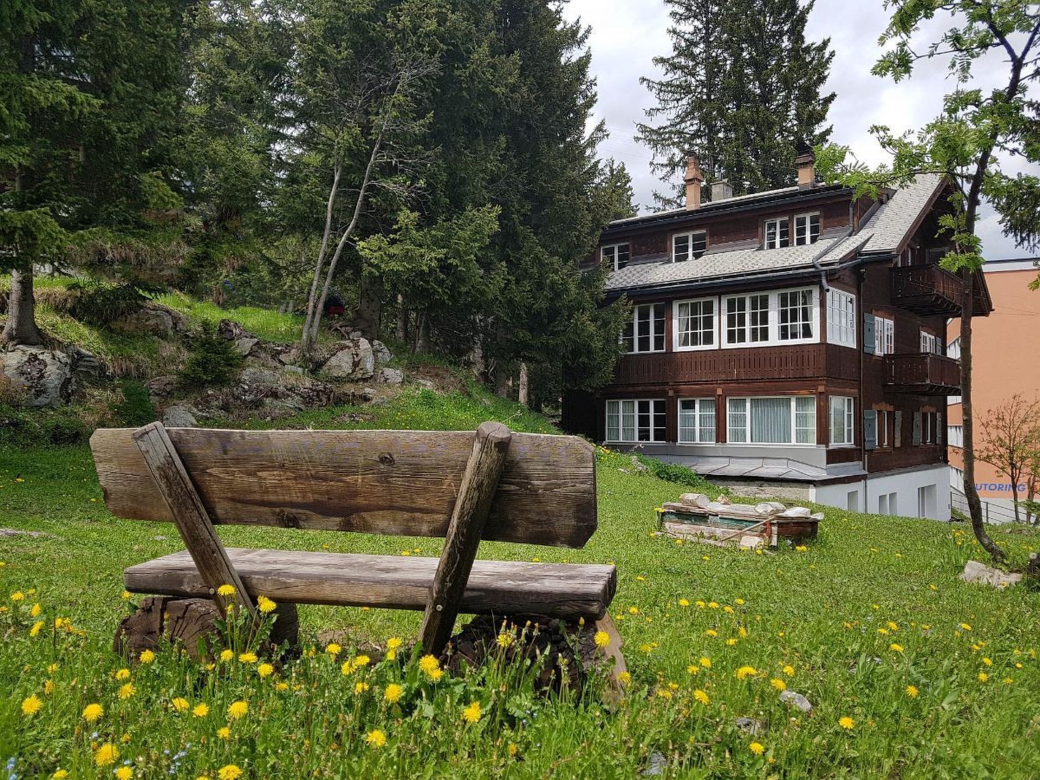A wooden bench in a grassy area with dandelions, a multi-story house with a dark facade and white windows, surrounded by trees and a rocky hillside.