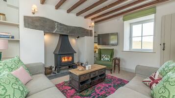 TV, fireplace