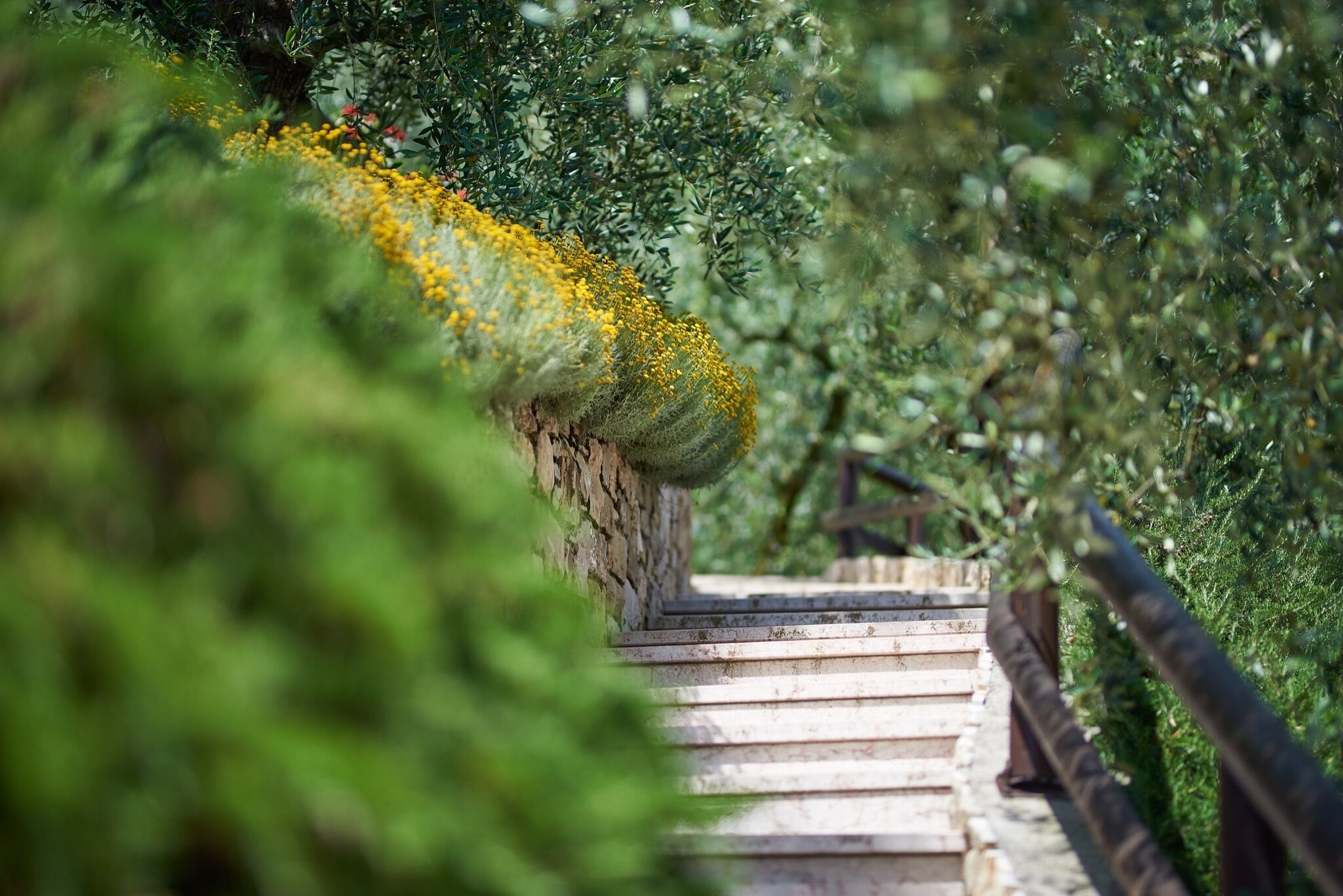 A staircase leading up to a building with a moss-covered wall and yellow flowers.