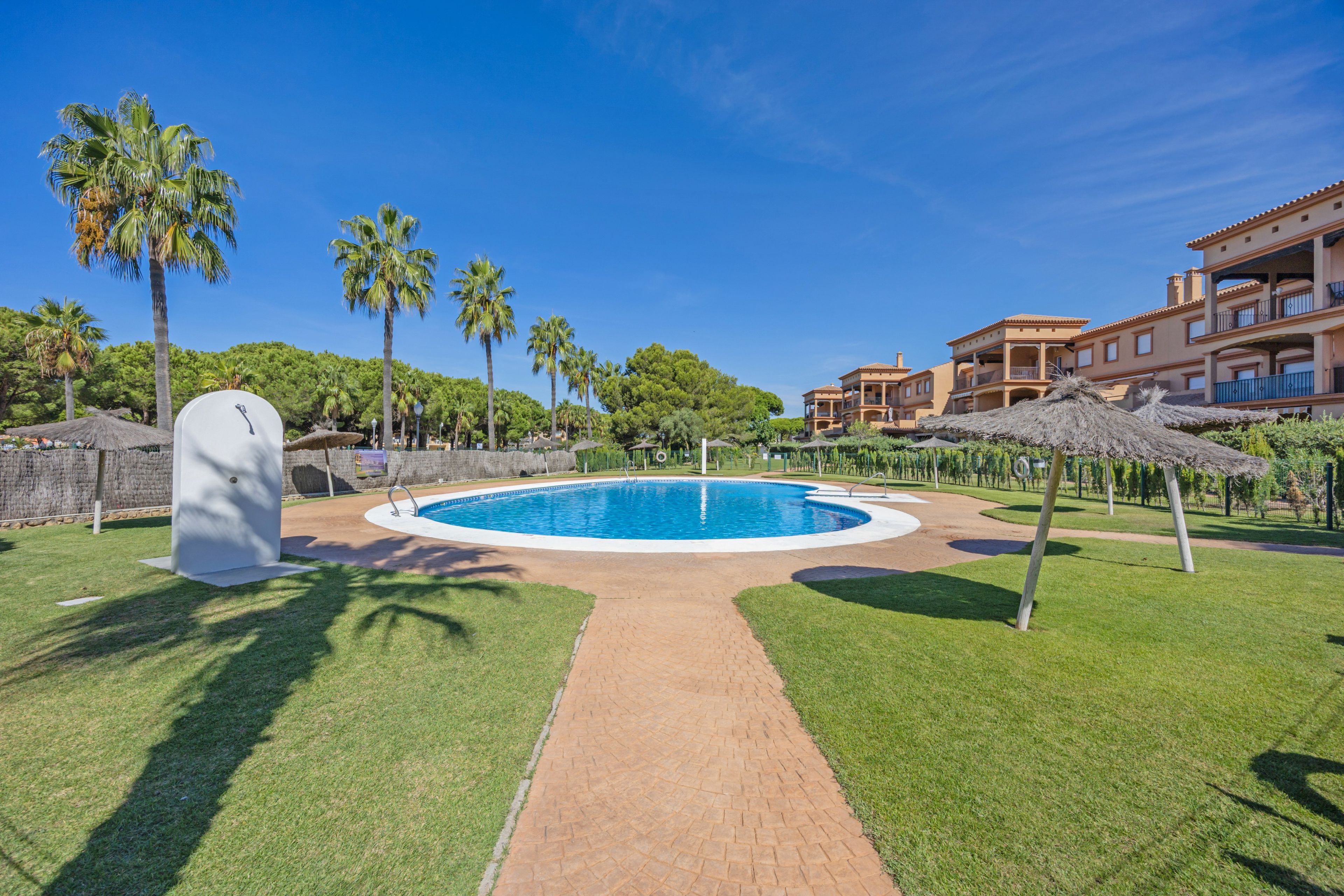 A swimming pool with a brick pathway leading to it, surrounded by palm trees and a building with balconies.