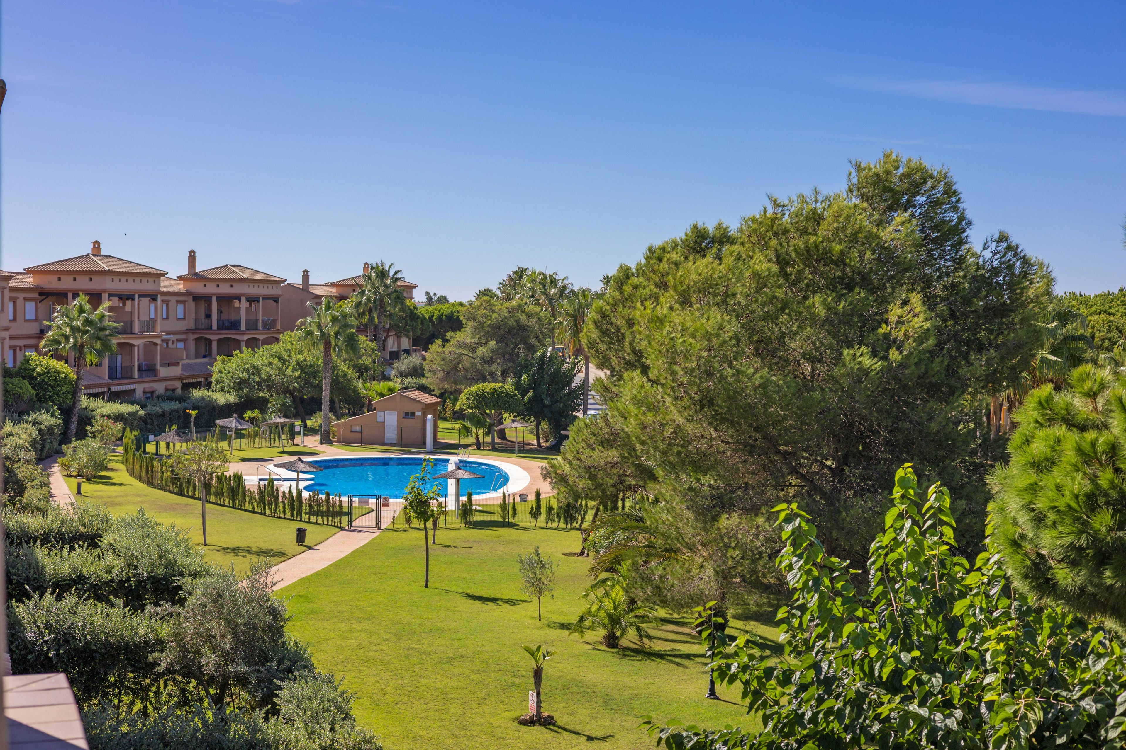 A pool surrounded by a well-maintained lawn, with a building in the background.