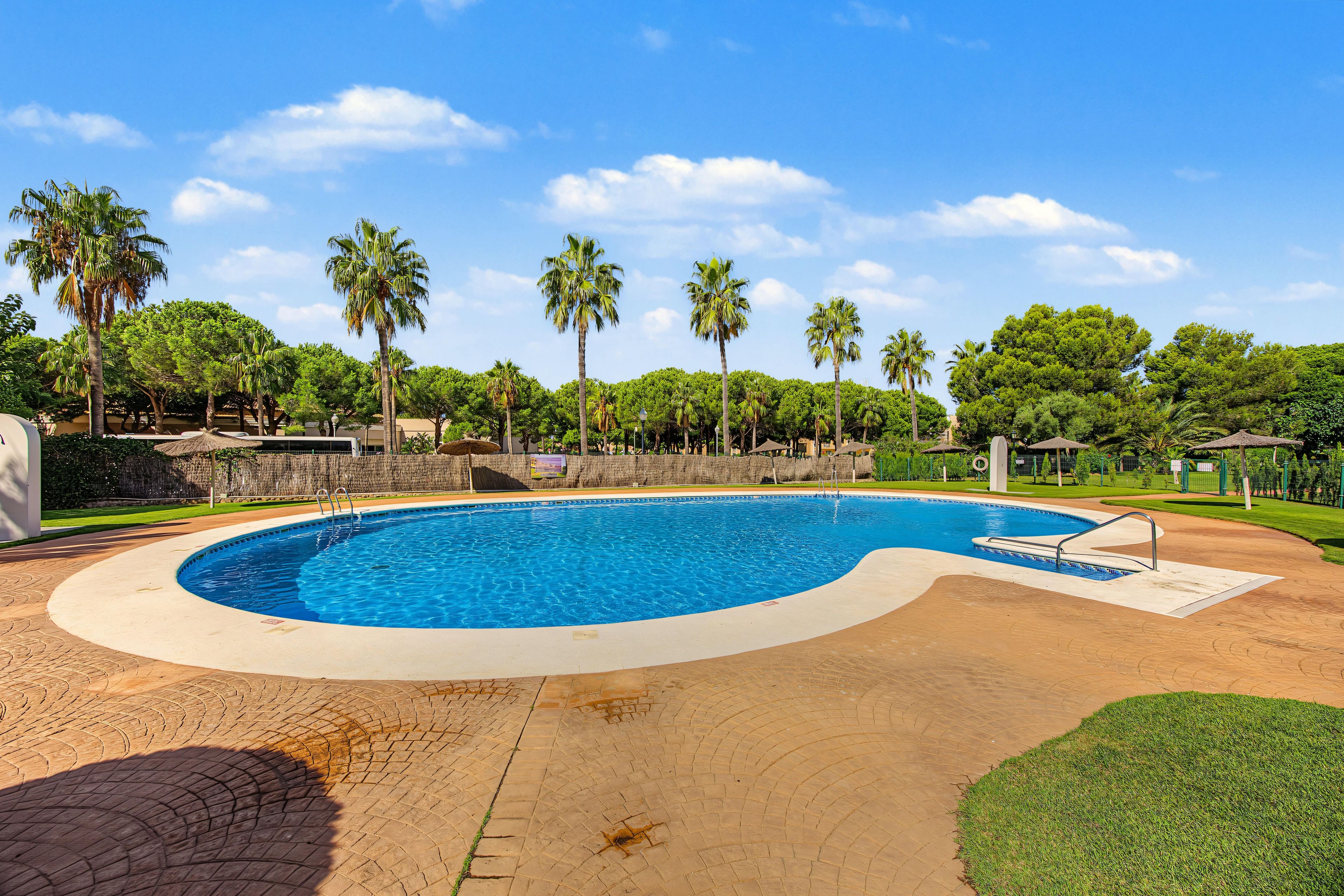 A swimming pool with a curved edge, surrounded by palm trees and a paved walkway.