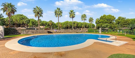Una piscina con borde curvo, rodeada de palmeras y un camino pavimentado.