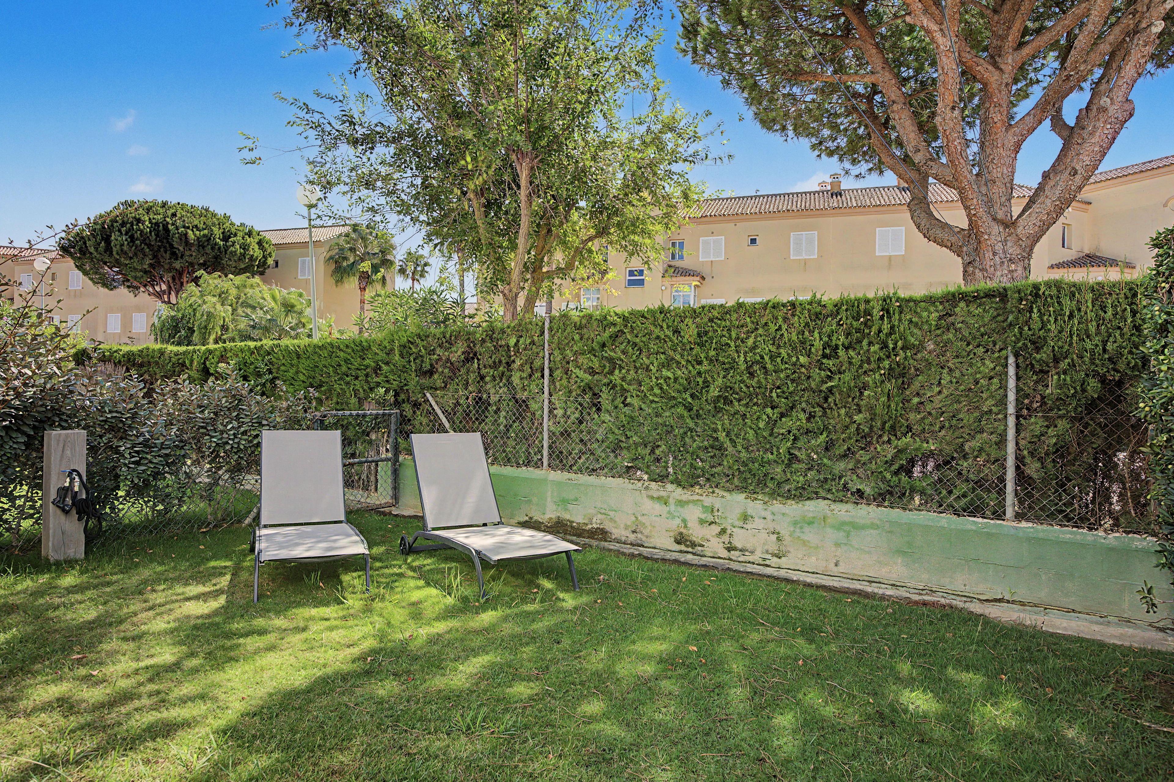 Ein Garten mit zwei Liegestühlen, einer Hecke und einem Gebäude im Hintergrund.