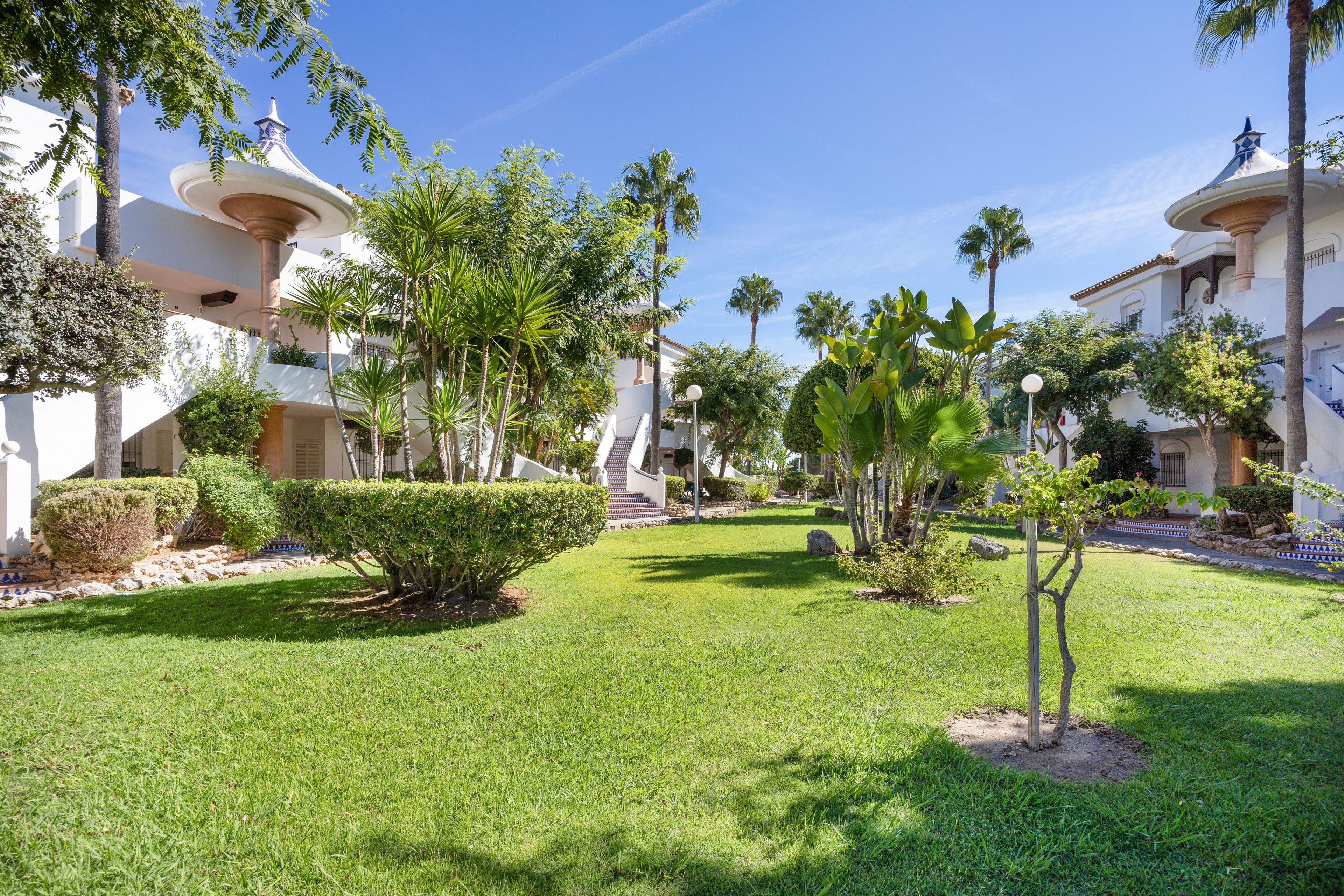 A well-maintained courtyard with palm trees, a central lawn, and buildings with domed roofs.