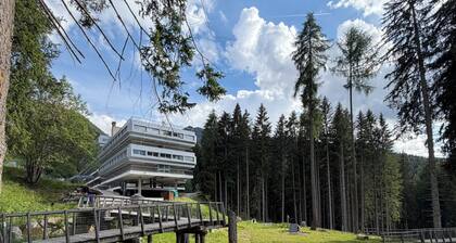 Artuik 1400 Mountain Hut