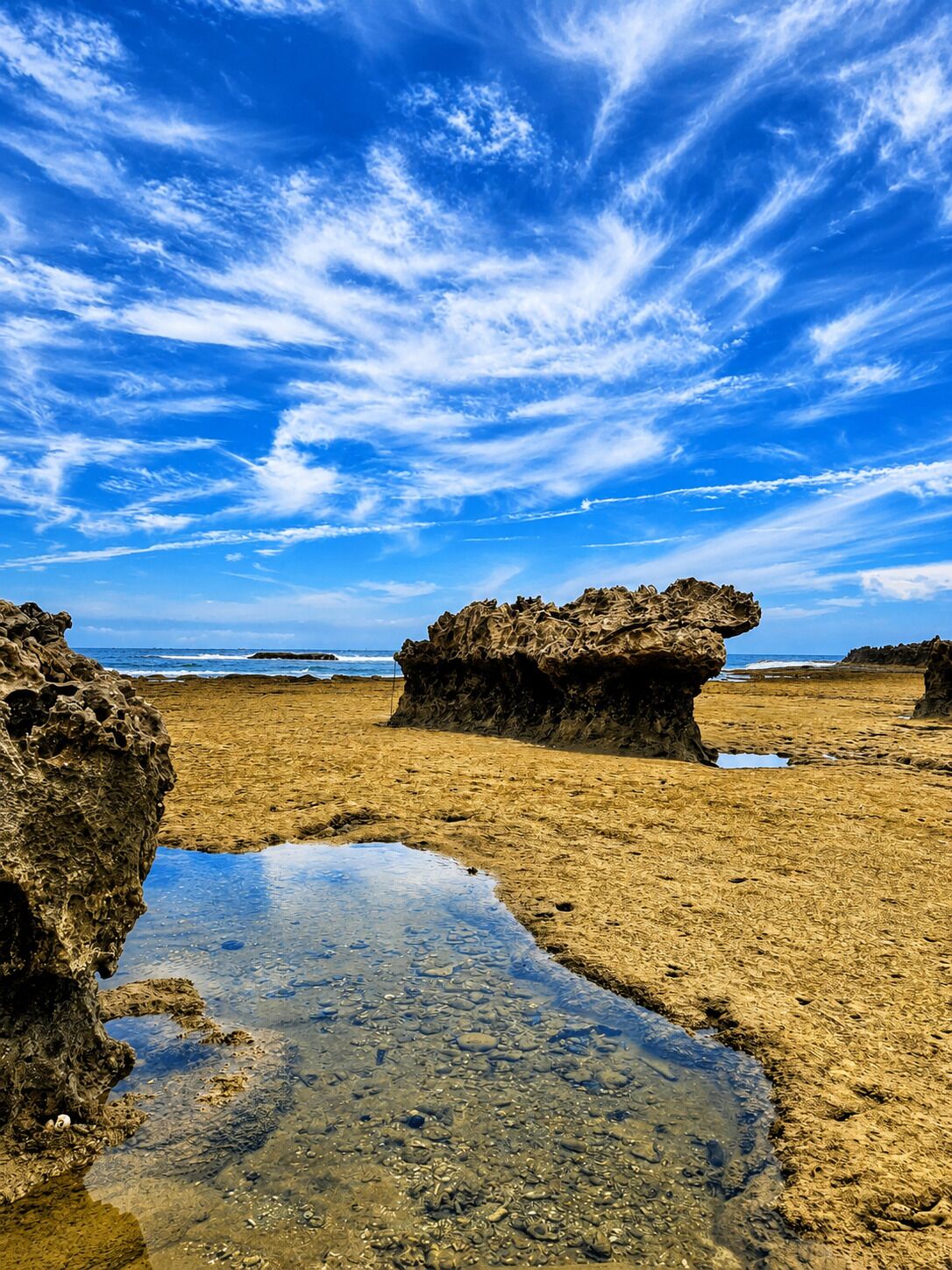 해변