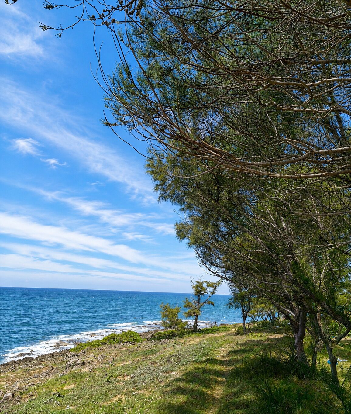 A coastal landscape with a clear sky, a tree-lined path, and the ocean in the background.