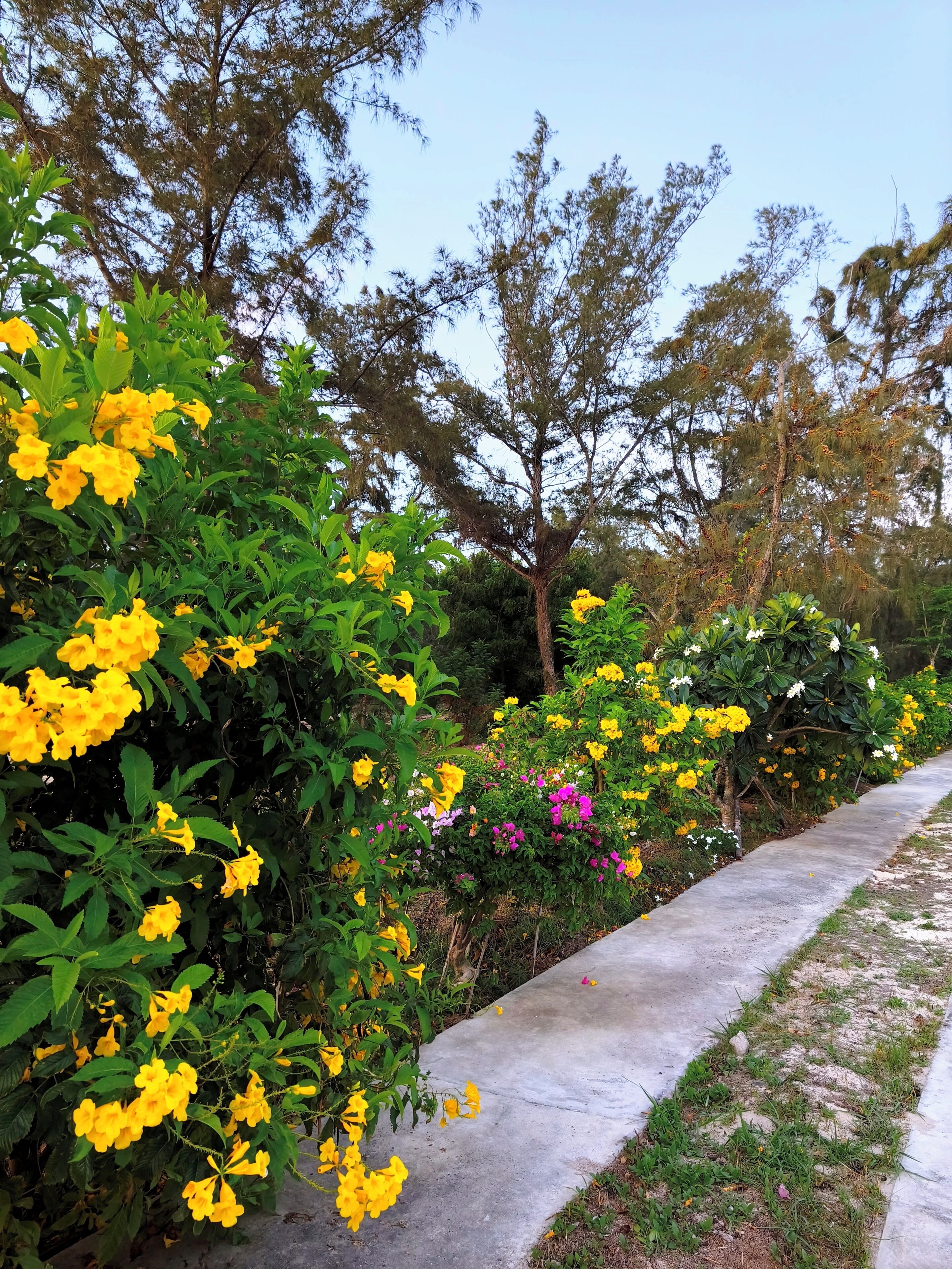Jardines del alojamiento