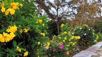 Jardines del alojamiento