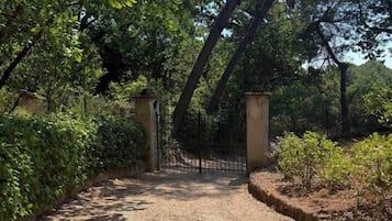 A gravel path leading to a gated entrance surrounded by trees.