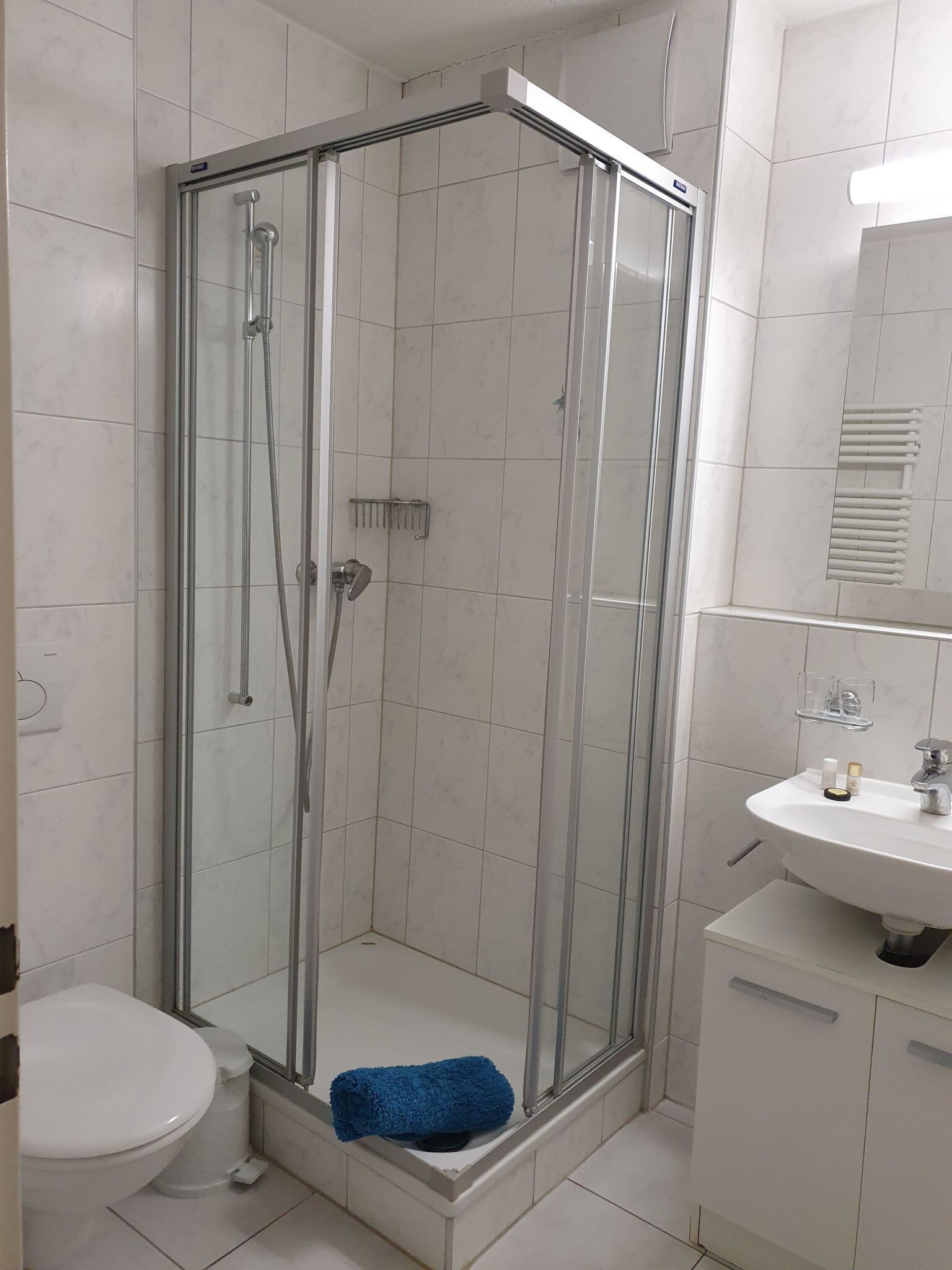 Un baño con ducha de vidrio, lavamanos blanco y inodoro.