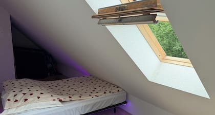 Modernes Gemütliches Zimmer