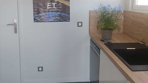 A room with a door, a poster of a moon and Earth, a potted plant, and a black tray on the counter.