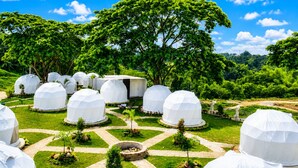 Dome-shaped structures in a garden setting with pathways and trees.