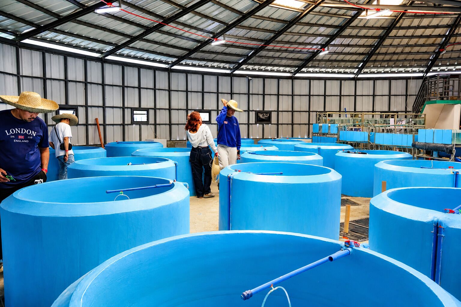 Un espacio industrial amplio con múltiples tanques azules, paredes de metal y un techo alto.