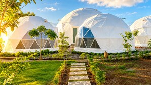 A series of dome-shaped structures with a central pathway leading to a door, surrounded by greenery and under a clear sky.