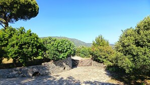 Un sendero de piedra que conduce a una puerta, rodeado de abundante vegetación y un cielo azul despejado.