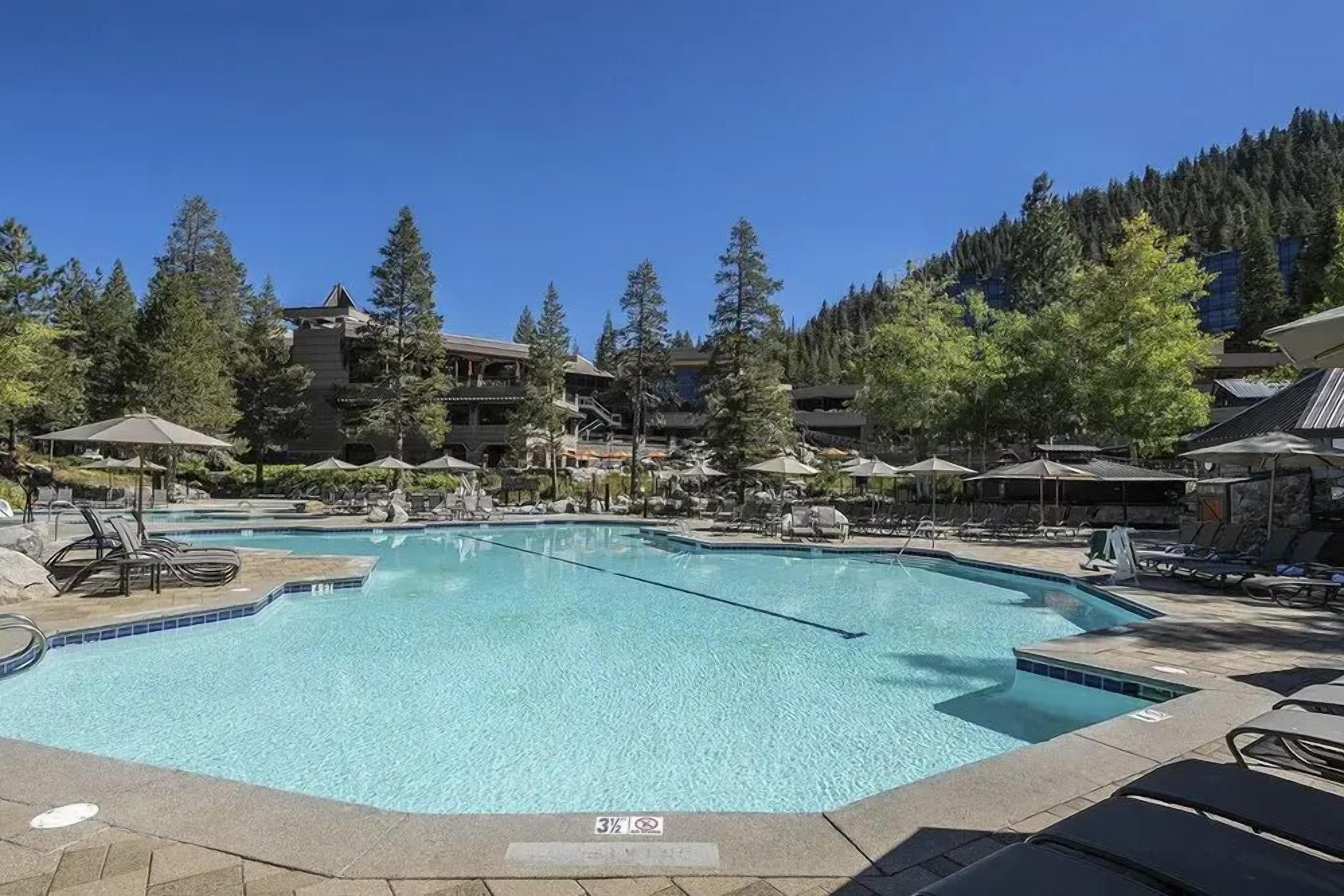 A swimming pool with lounge chairs and umbrellas, surrounded by trees and buildings.