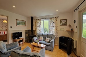 A cozy living room with a fireplace, a sofa, a television, and a bookshelf. - Woodcutters near Bantham South Devon (Buckland Park, Bantham)