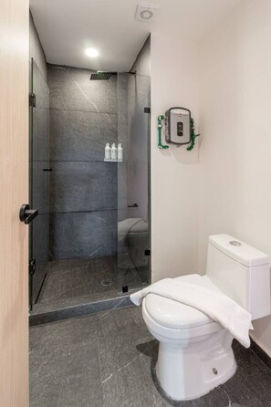 Hair dryer, towels - Myla - Loft in Condesa (Mexico City)