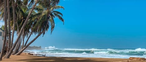 A beach with palm trees and ocean waves.