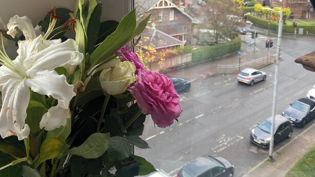 A window with a view of a residential street, a flower arrangement on the windowsill, and a door handle.