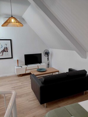 Fernseher
