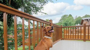 A dog sitting on a wooden deck with a wooden railing, surrounded by greenery and a clear sky. - Fox Red Retreat (Windermere)
