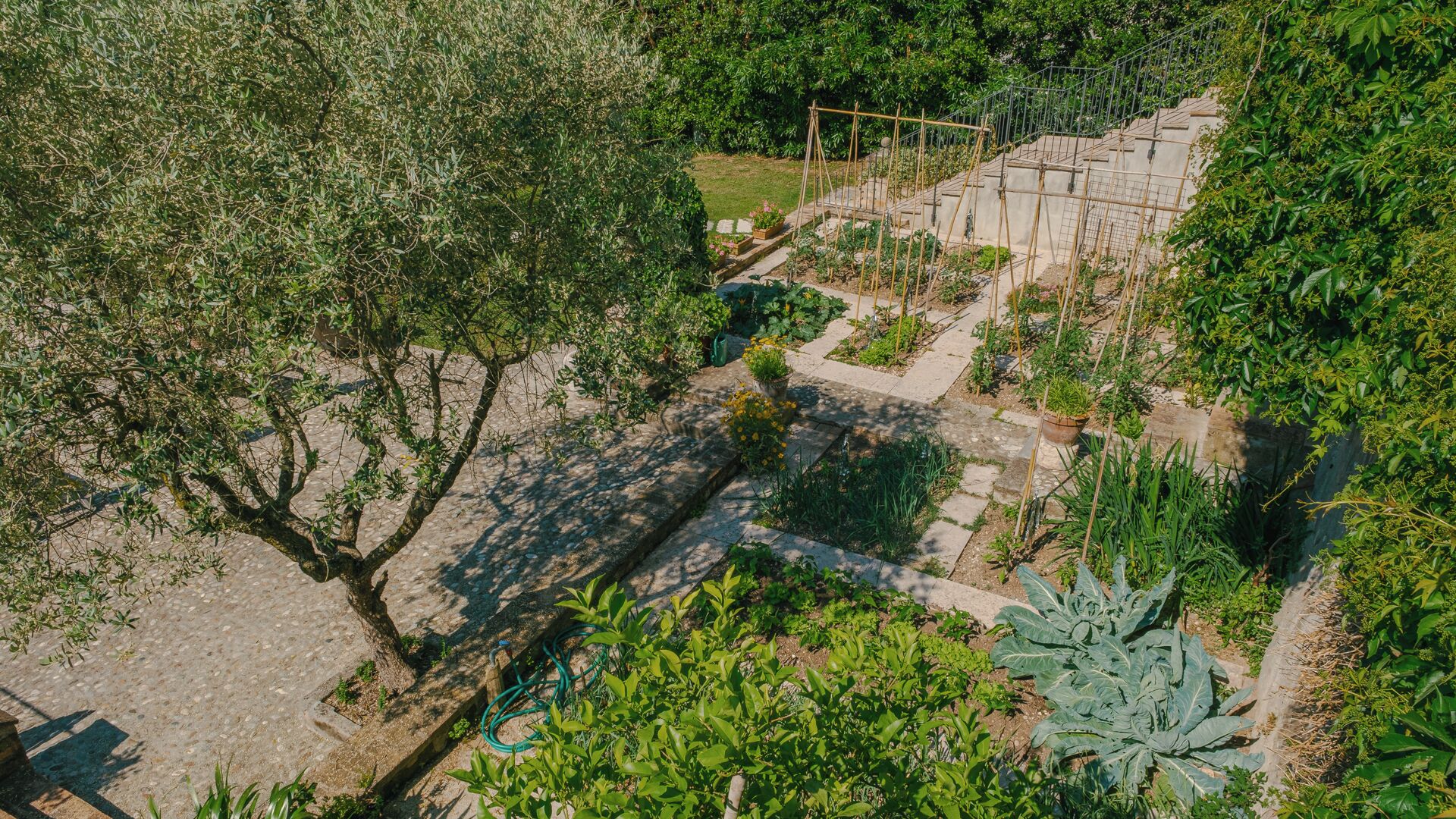 Een luchtbeeld van een tuin met verschillende planten en een pad van stenen.