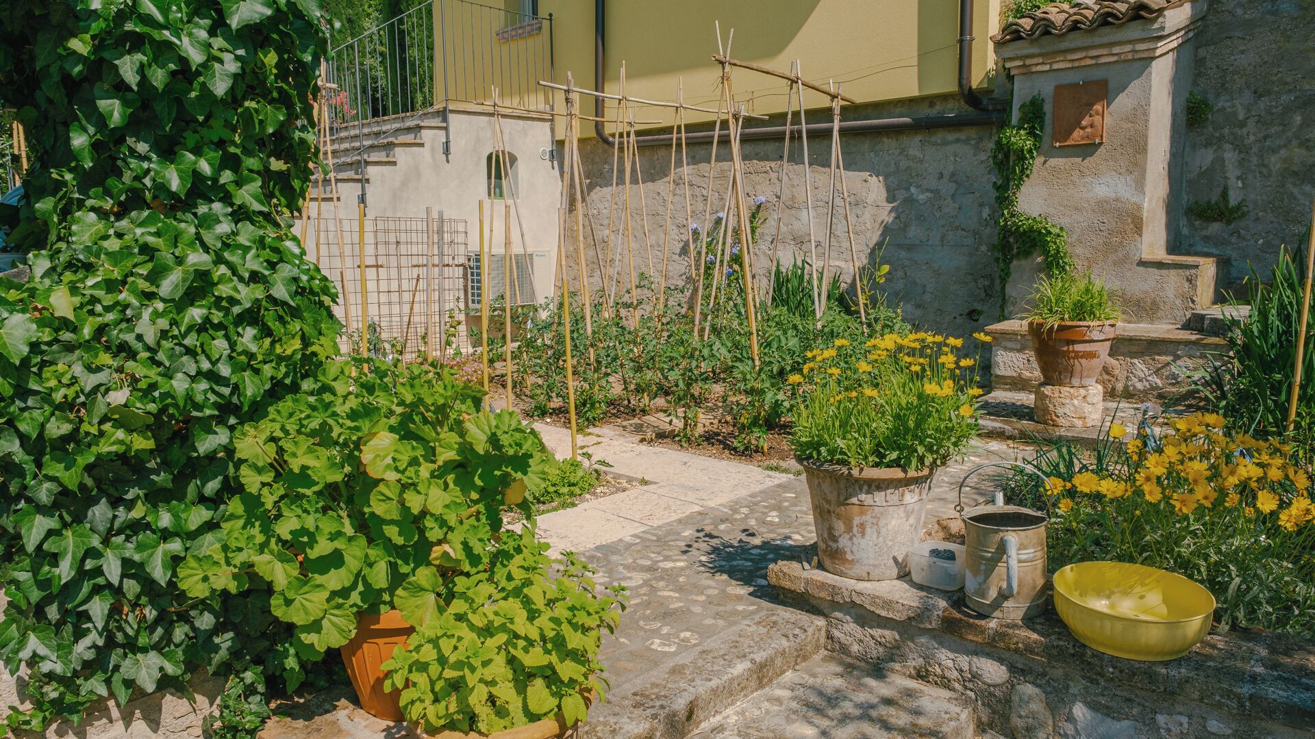 A garden with potted plants, a stone pathway, and a metal watering can.
