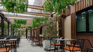 Un comedor interior con mesas y sillas, rodeado de plantas y listones de madera.