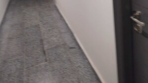 A narrow hallway with a carpeted floor, a door on the right, and a door at the end of the hallway.