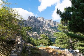 A mountainous landscape with a stone wall, pine trees, and a small building with a satellite dish.